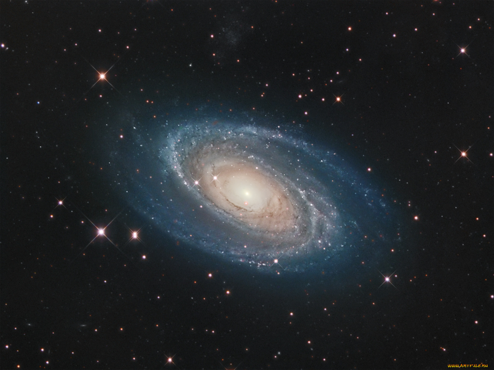 , m81, , , 